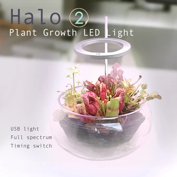 Кольцо Ангела, светильник для выращивания растений, Регулируемая Светодиодная лампа для выращивания всего спектра, USB-зарядка, Подсветка для помещений SEC88